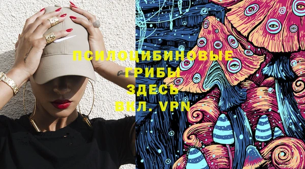твердый Алексин